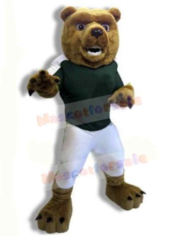 Bear mascot costume
