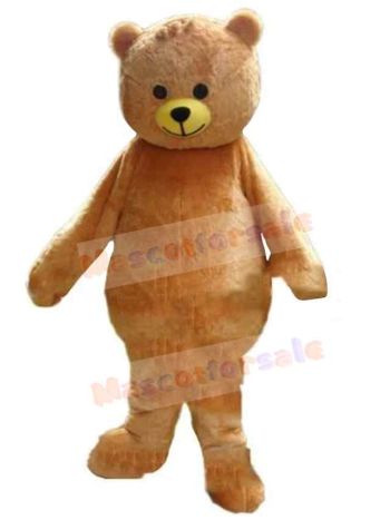 Bear mascot costume