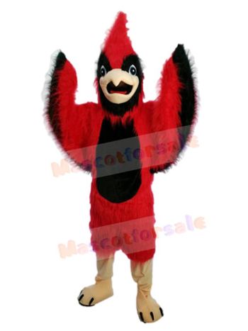 Bird mascot costume