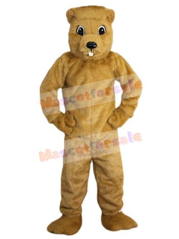 Gopher mascot costume