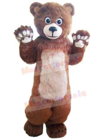 Bear mascot costume
