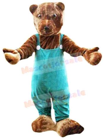 Bear mascot costume