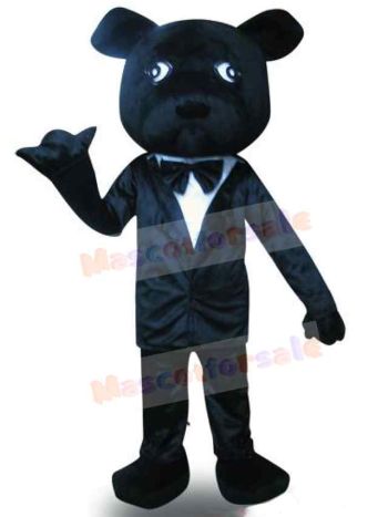 Bear mascot costume