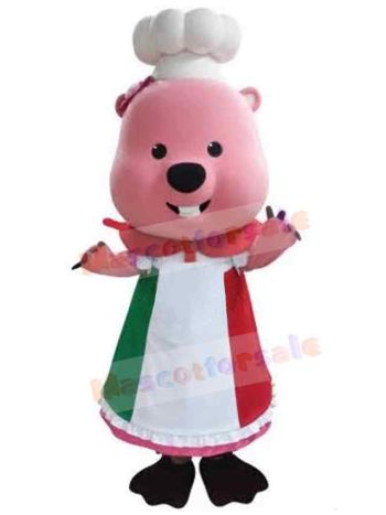 Bear mascot costume