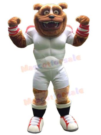 Bear mascot costume
