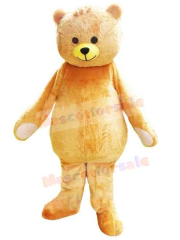 Bear mascot costume