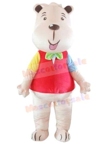 Bear mascot costume