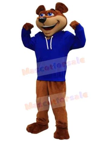 Bear mascot costume