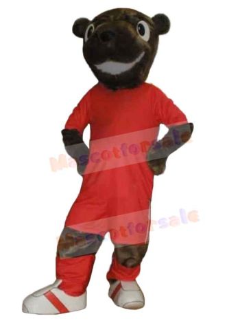 Bear mascot costume