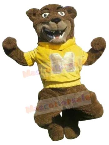 Bear mascot costume