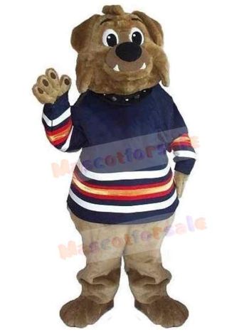 Bear mascot costume