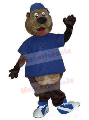 Bear mascot costume