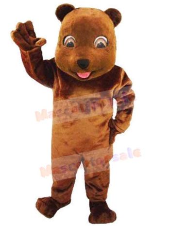Bear mascot costume