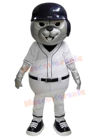Bear mascot costume