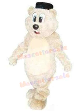 Bear mascot costume