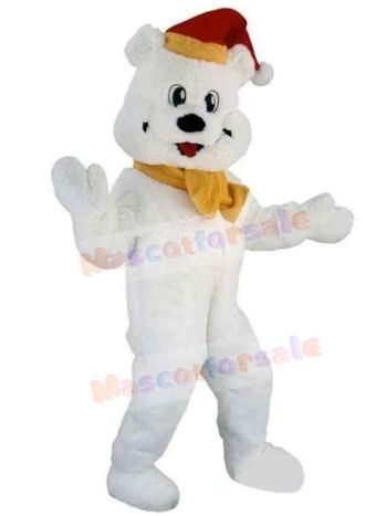 Bear mascot costume
