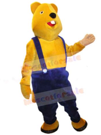 Bear mascot costume