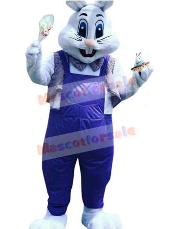 Easter Bunny Rabbit mascot costume