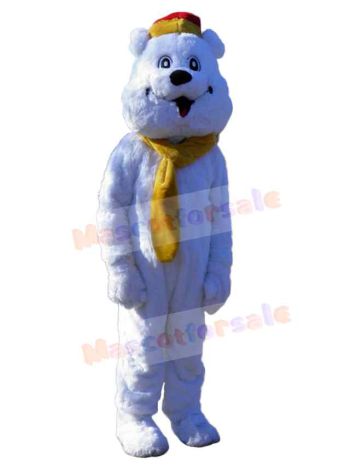 Bear mascot costume
