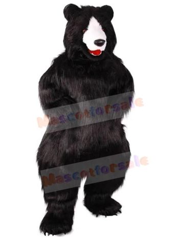 Bear mascot costume