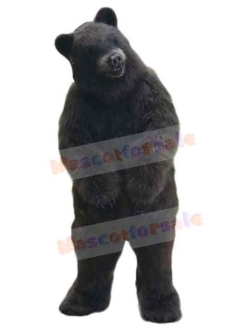 Bear mascot costume