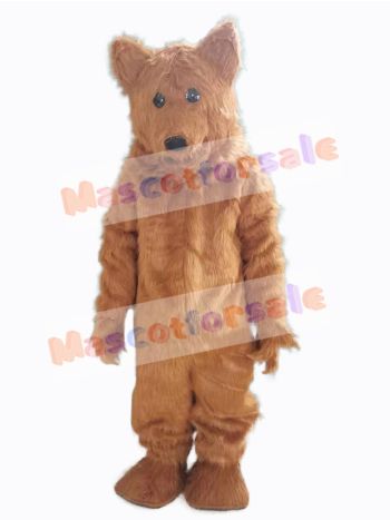 Bear mascot costume