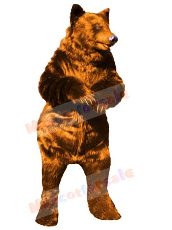 Bear mascot costume