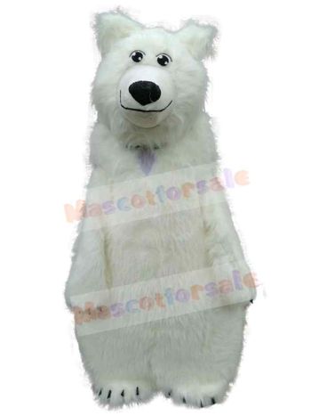 Bear mascot costume