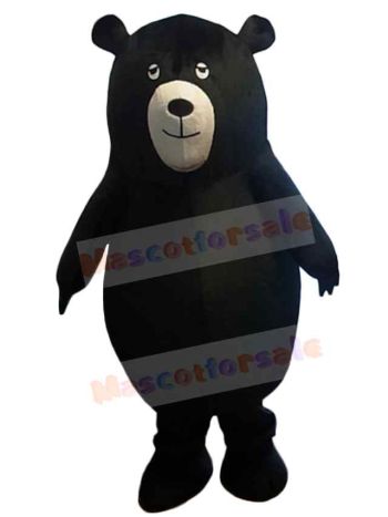 Bear mascot costume