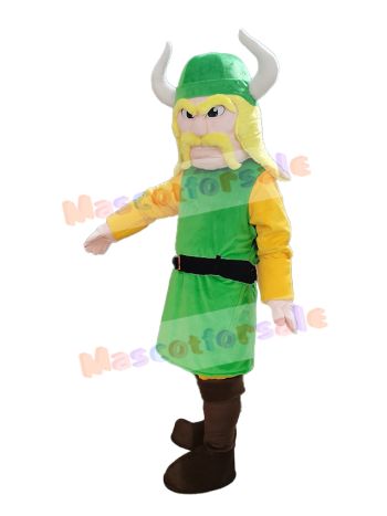 Pirate mascot costume