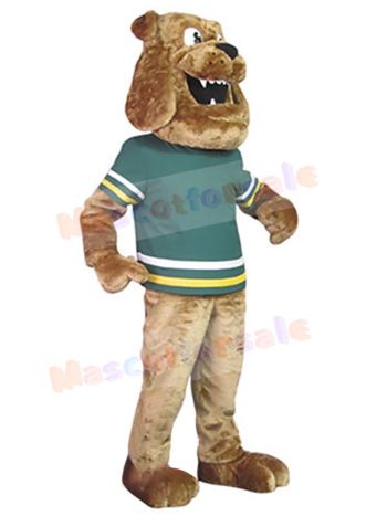 Dog mascot costume