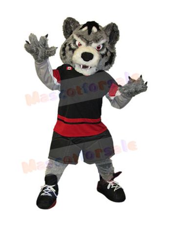 Wolf mascot costume