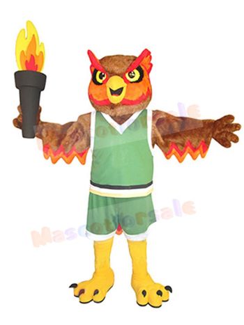 Owl mascot costume