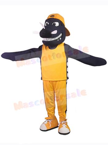 Dragon mascot costume