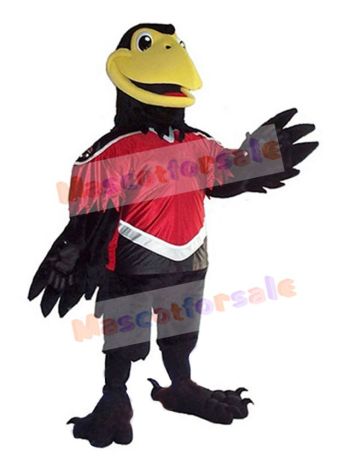 Crow mascot costume