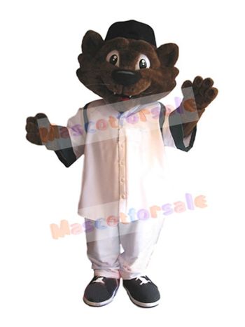 Cat mascot costume