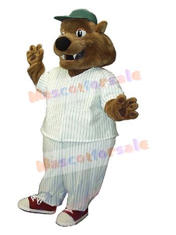 Cat mascot costume
