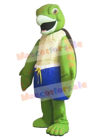 Turtle mascot costume