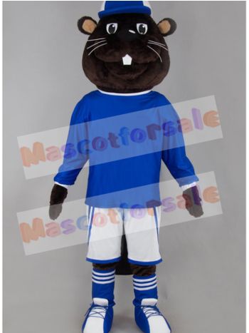 Rat Mouse mascot costume