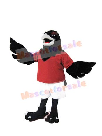 Raven mascot costume