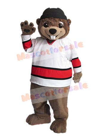 Squirrel mascot costume