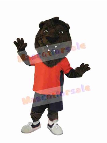Lion mascot costume