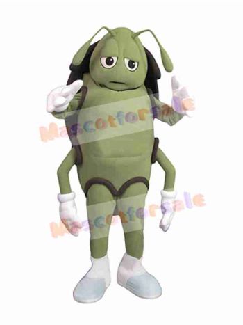 Cockroach mascot costume
