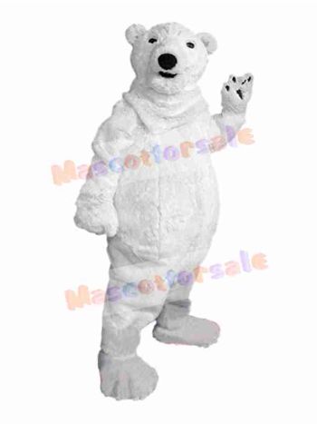 Bear mascot costume