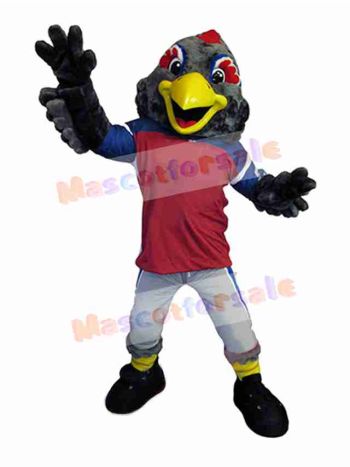 Bird mascot costume