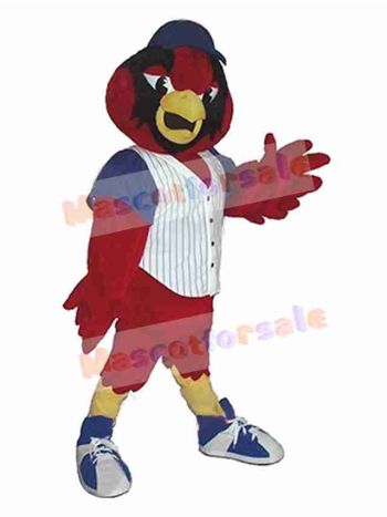 Bird mascot costume