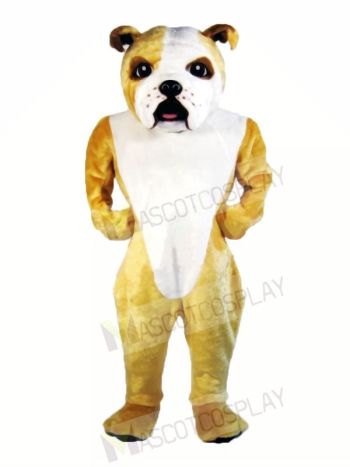 Cute Lightweight Bulldog Mascot Costumes
